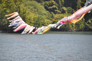 大網白里市内の小中池公園