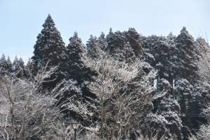 雪の日の季美の森もまた、美しい