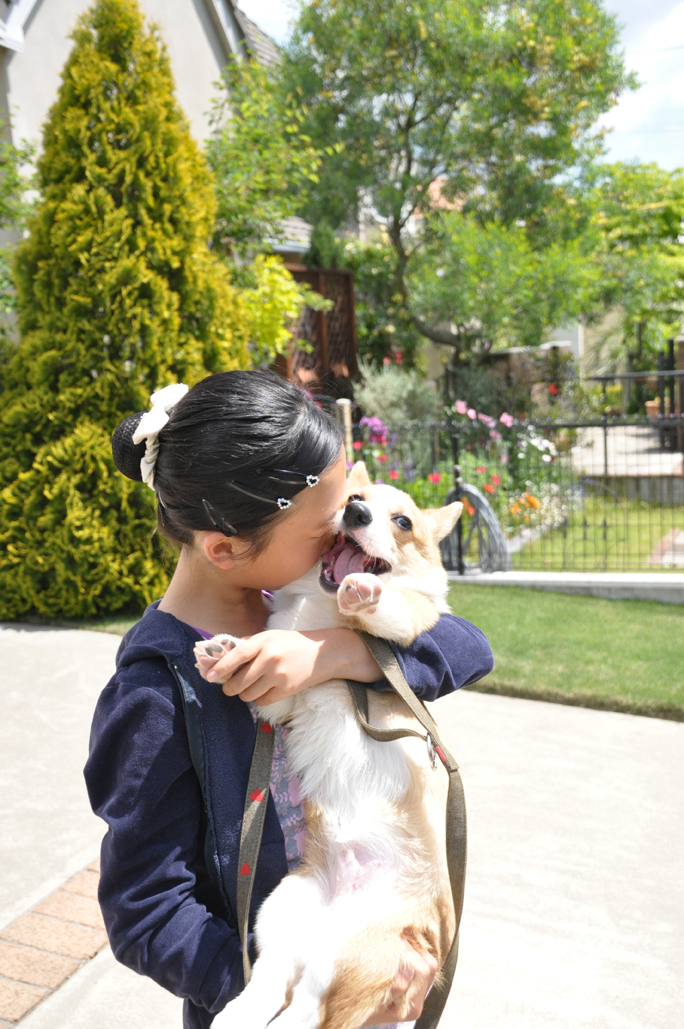 子供と犬dsc 04 C K Ito 季美の森住民公式ホームページ 子供と犬dsc 04 C K Ito 季美の森住民公式ホームページ