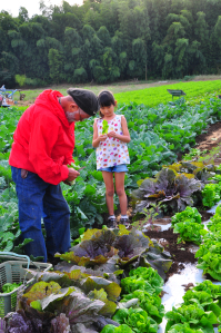 知り合いの農家さんに、野菜のことをいろいろ教わる三女Ｃちゃん。 