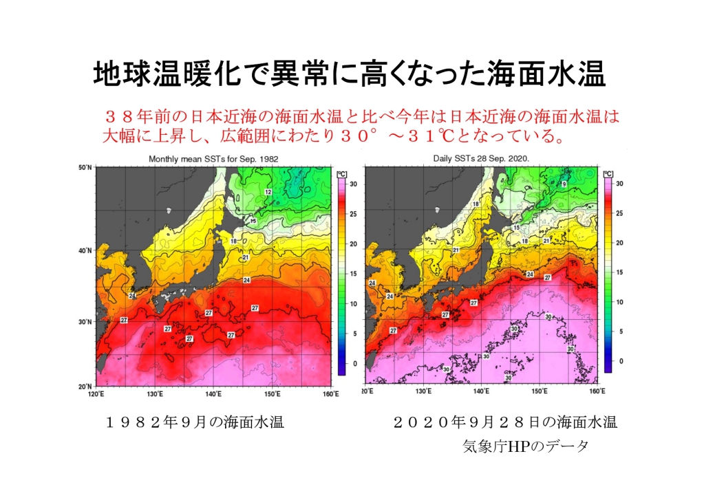 コロナ禍の災害に備える_page-0005