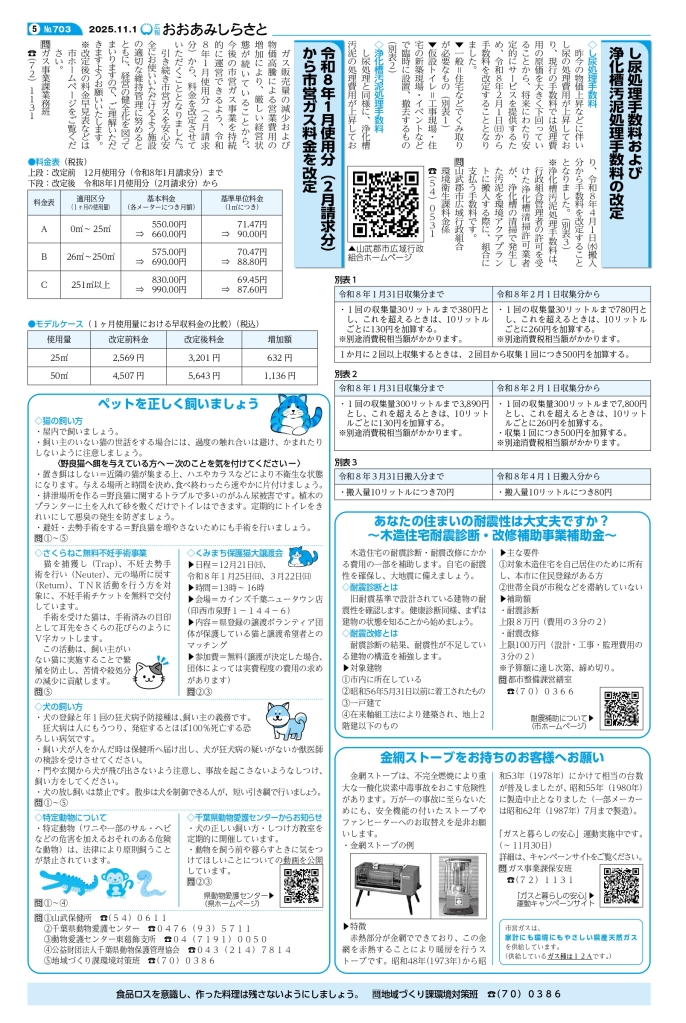 kouhou11weball_page-0005